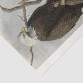 Bird Bald Eagle Ephemera Decoupage Tissuepapier (Detail)