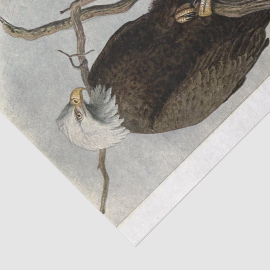 Bird Bald Eagle Ephemera Decoupage Tissuepapier (Detail)