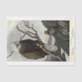 Bird Bald Eagle Ephemera Decoupage Tissuepapier (Voorkant)