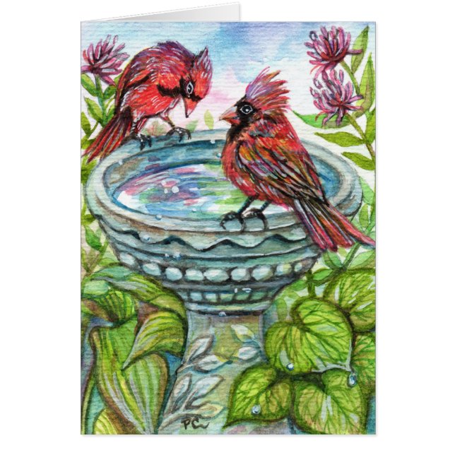 Bird Bath (Voorkant)