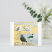 Bird Beach Wildlife Jackdaw Gull Zee Briefkaart (Staand voorkant)