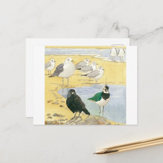 Bird Beach Wildlife Jackdaw Gull Zee Briefkaart (Voorkant / Achterkant in situ)
