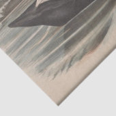 Bird Black Swan Ephemera Decoupage Tissuepapier (Detail)