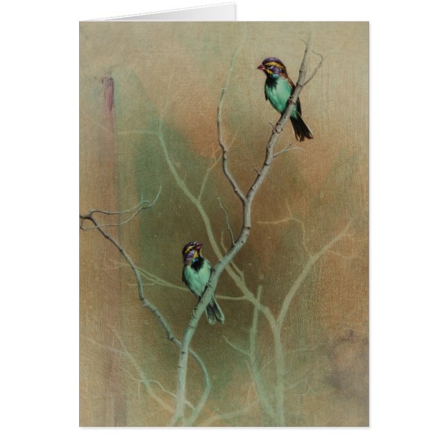 Bird Blank Card van Andrew Denman (Voorkant)