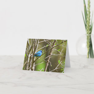 Bird blank notecard bedankkaart