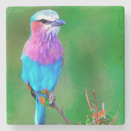 Bird blue _babero stenen onderzetter