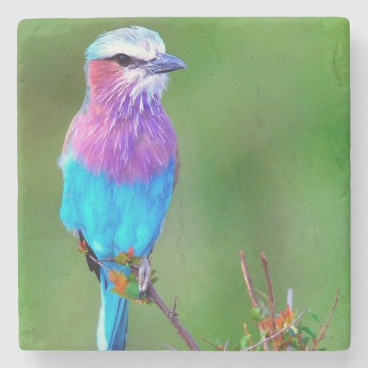 Bird blue _babero stenen onderzetter (Voorkant)