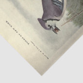 Bird Blue Jay Ephemera Decoupage Vintage Tissuepapier (Detail)