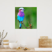 Bird Blue Poster (Keuken)