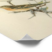  Bird Blue White Print (Hoek)