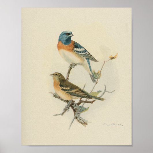  Bird Blue White Print (Voorkant)