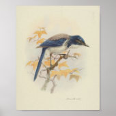  Bird Blue White Print (Voorkant)