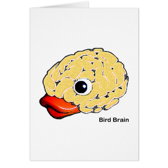 Bird Brain (Voorkant)