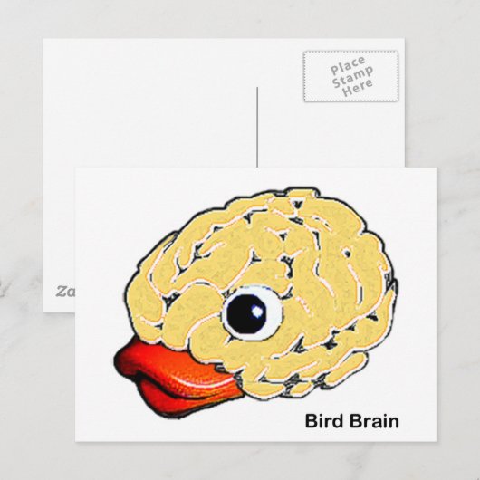 Bird Brain Briefkaart (Voorkant / Achterkant)