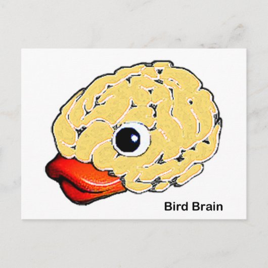 Bird Brain Briefkaart (Voorkant)