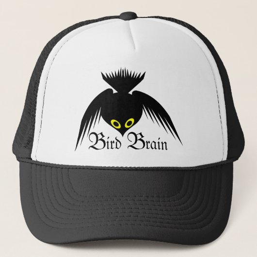 Bird Brain Crow Pet (Voorkant)