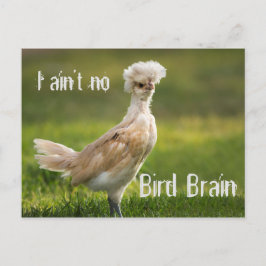 Bird Brain Funny Chicken Briefkaart