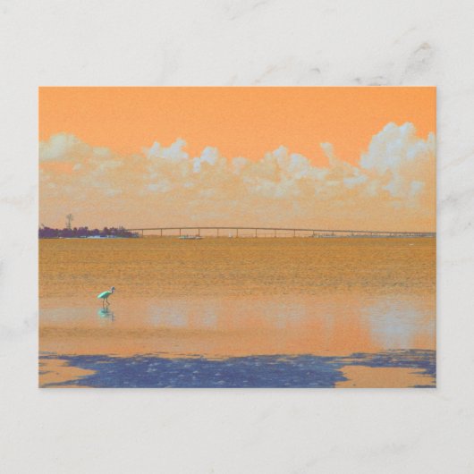Bird Bridge Oranje Blue River Florida Briefkaart (Voorkant)