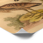 Bird Brown gevederde print (Hoek)