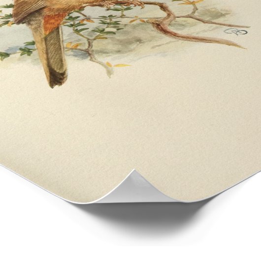  Bird Brown Print (Hoek)