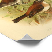 Bird Brown White Print (Hoek)