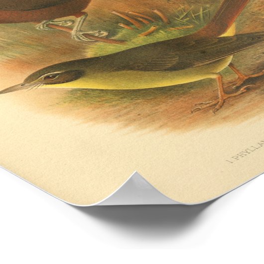 Bird Brown Yellow Print (Hoek)