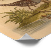  Bird Brown Yellow Print (Hoek)