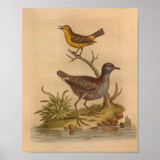  Bird Brown Yellow Print (Voorkant)