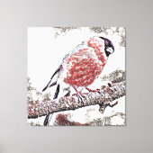 Bird, Bullfinch, Male Canvas Afdruk (Voorkant)