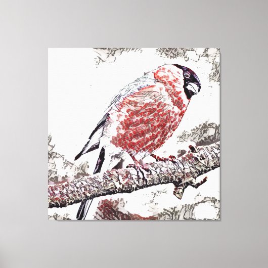 Bird, Bullfinch, Male Canvas Afdruk (Voorkant)