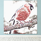 Bird, Bullfinch, Male Canvas Afdruk (Insitu (Houten vloer))