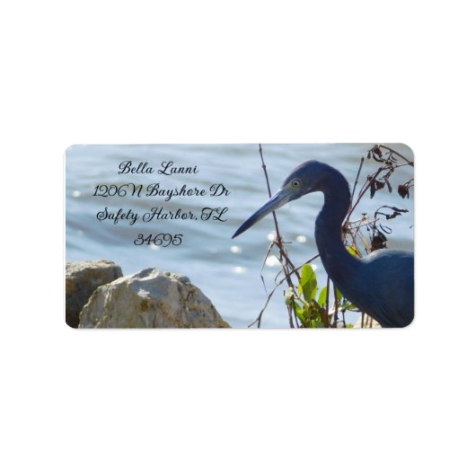 Bird By the Bay Little Blue Heron Safety Harbour Etiket (Voorkant)