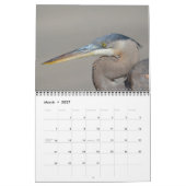 Bird Calendar Kalender (Mar 2027)