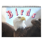 Bird Calendar Kalender (Hoes)