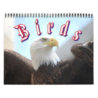 Bird Calendar Kalender
