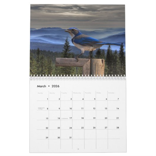 BIRD CALENDAR KALENDER (Mar 2026)