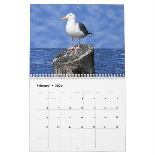 BIRD CALENDAR KALENDER (Feb 2026)