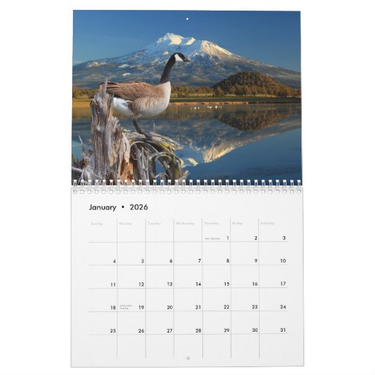 BIRD CALENDAR KALENDER (Jan 2026)