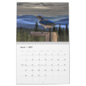BIRD CALENDAR KALENDER (Mar 2027)