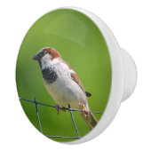 Bird Ceramic Knob. Keramische Knop (Rechts)