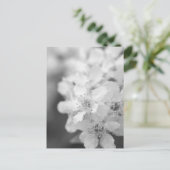 Bird cherry bloesems in zwart-wit briefkaart (Staand voorkant)