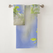 Bird Cherry Tree Blossom Flowers Sky