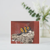 Bird Choir Briefkaart (Staand voorkant)