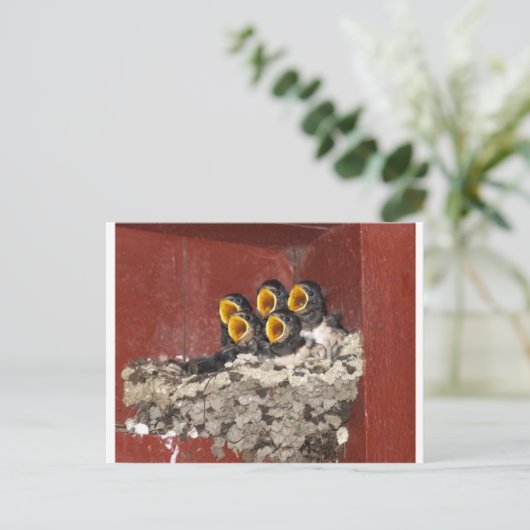 Bird Choir Briefkaart (Staand voorkant)