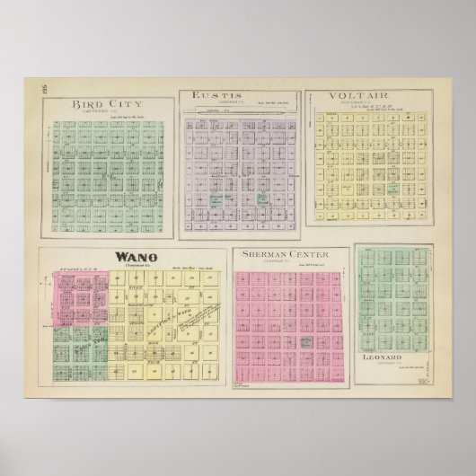 Bird City, Eustis, Voltair, Wano, Kansas Poster (Voorkant)