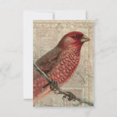  Bird Collage Blank Kaart (Voorkant)