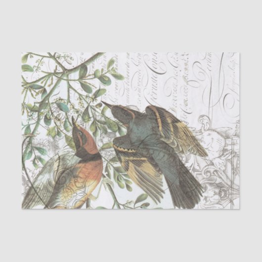  Bird Collage Tissue Paper nr.508 Tissuepapier (Voorkant)