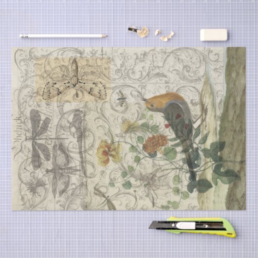 Bird Collage Tissuepapier (Craft)