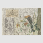 Bird Collage Tissuepapier (Voorkant)