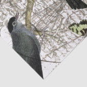 Bird Collage Tissuepapier (Detail)